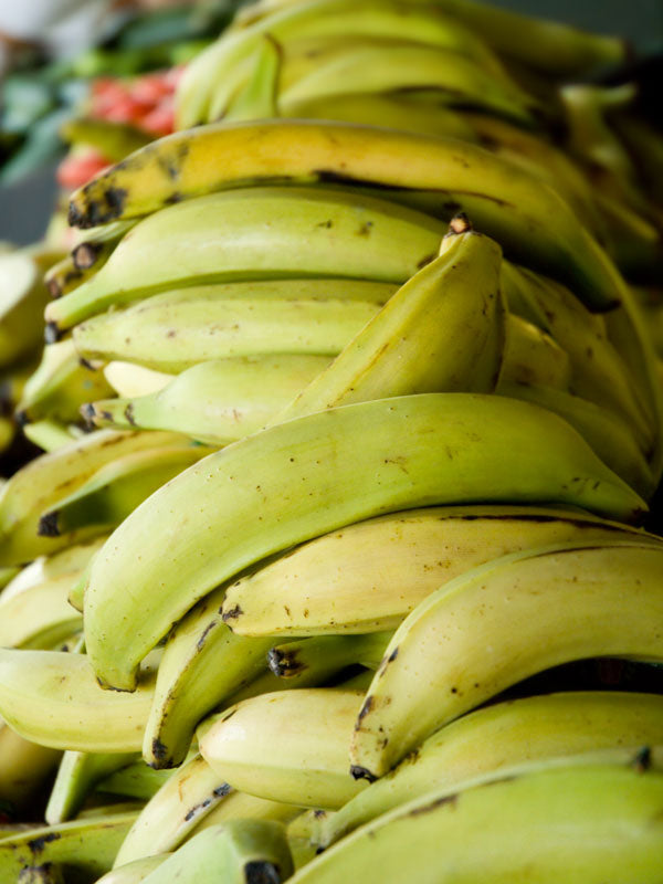 Tips for Picking Plantains